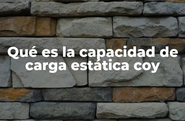 Qué es la Capacidad de Carga Estática Coy