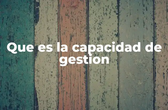 Que es la Capacidad de Gestion