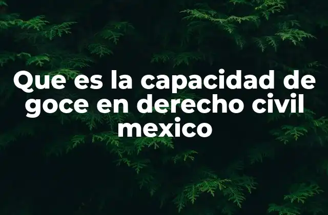 Que es la Capacidad de Goce en Derecho Civil Mexico