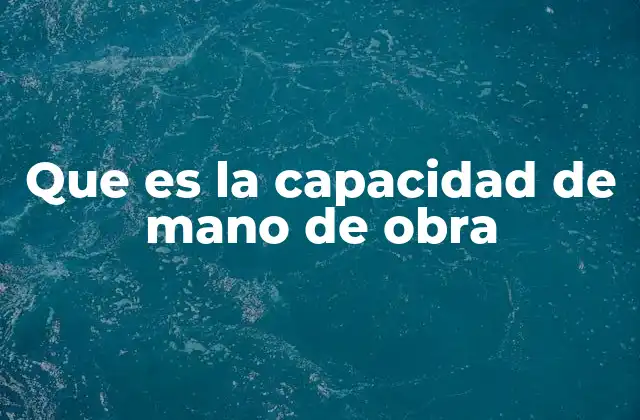 Que es la Capacidad de Mano de Obra