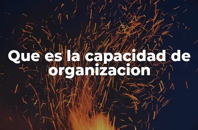 Que es la Capacidad de Organizacion