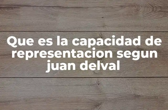 Que es la Capacidad de Representacion Segun Juan Delval