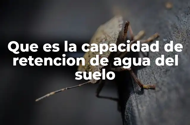 Que es la Capacidad de Retencion de Agua Del Suelo