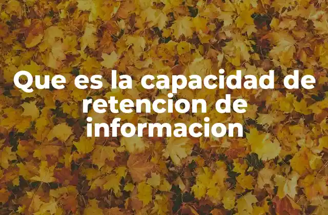 Que es la Capacidad de Retencion de Informacion 2 La importancia de la memoria en el proceso de retención
