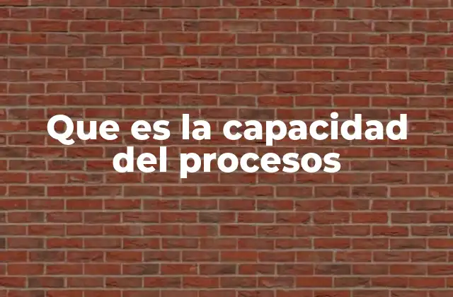 Que es la Capacidad Del Procesos