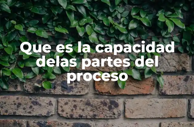 Que es la Capacidad Delas Partes Del Proceso
