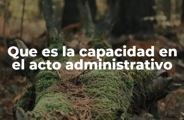 Que es la Capacidad en el Acto Administrativo