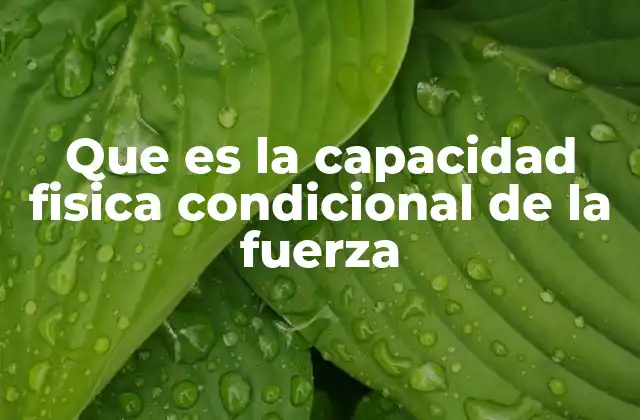 Que es la Capacidad Fisica Condicional de la Fuerza