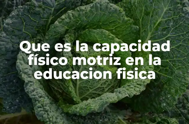 Que es la Capacidad Físico Motriz en la Educacion Fisica