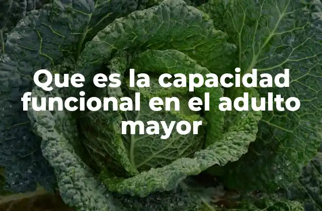 Que es la Capacidad Funcional en el Adulto Mayor