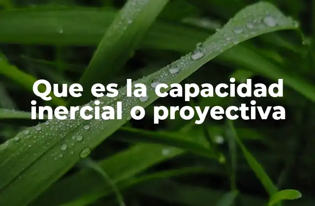 Que es la Capacidad Inercial o Proyectiva