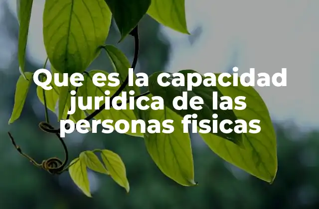 Que es la Capacidad Juridica de las Personas Fisicas