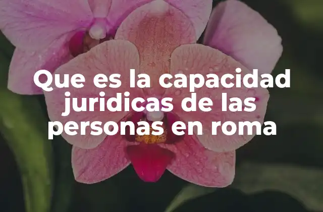 La base social de la capacidad jurídica en la Roma antigua