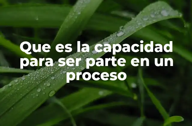 Que es la Capacidad para Ser Parte en un Proceso