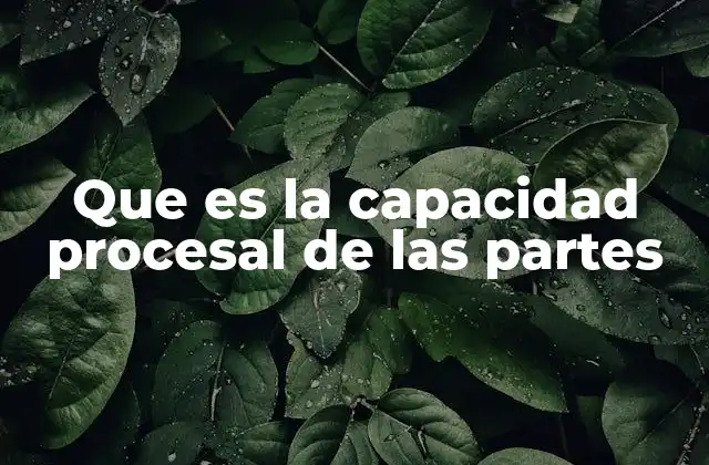 Que es la Capacidad Procesal de las Partes