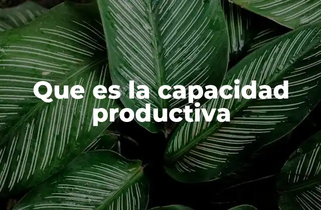 Que es la Capacidad Productiva