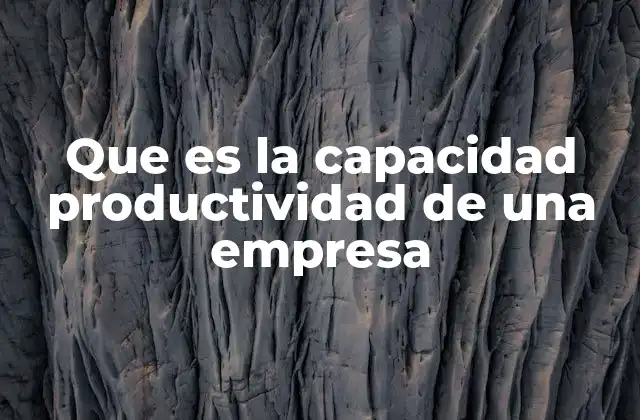 Que es la Capacidad Productividad de una Empresa