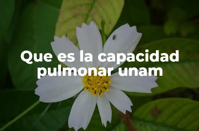 Que es la Capacidad Pulmonar Unam