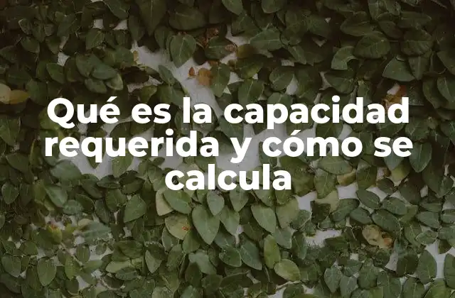 Qué es la Capacidad Requerida y Cómo Se Calcula