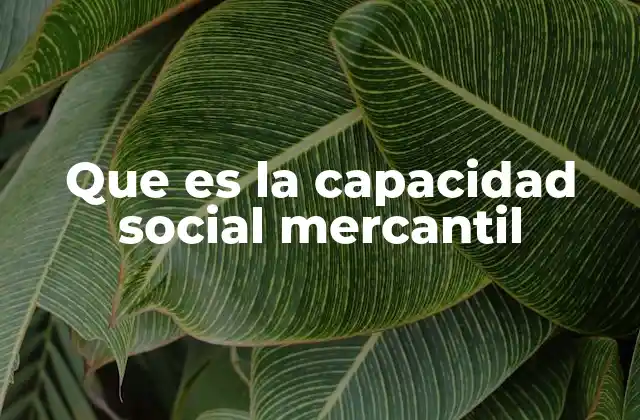 Que es la Capacidad Social Mercantil