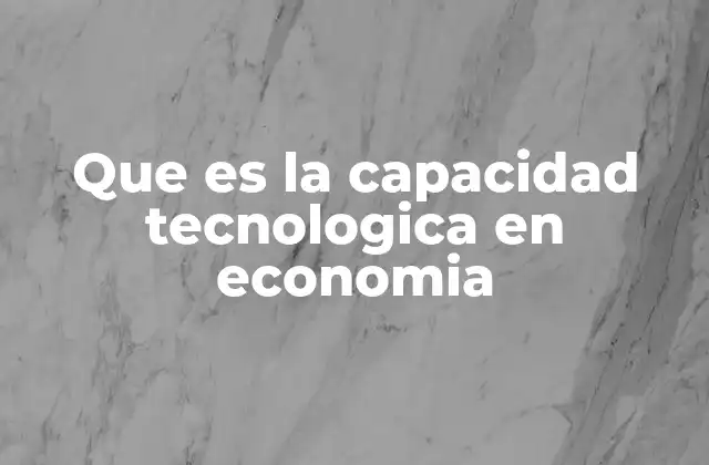 Que es la Capacidad Tecnologica en Economia