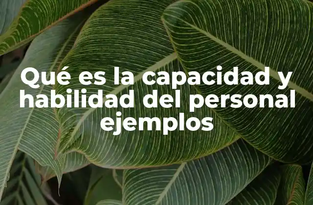 Qué es la Capacidad y Habilidad Del Personal Ejemplos