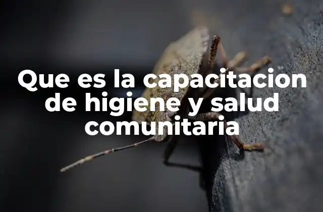 Que es la Capacitacion de Higiene y Salud Comunitaria