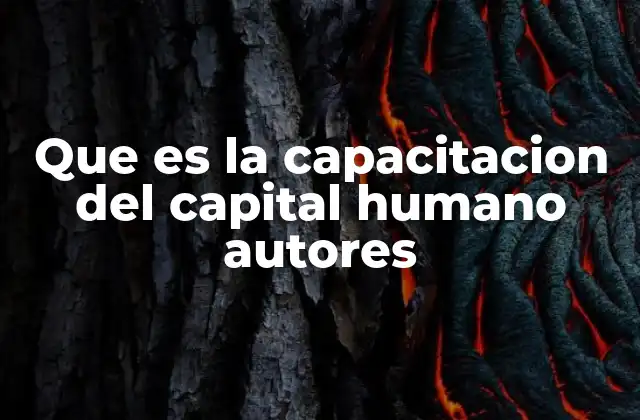Que es la Capacitacion Del Capital Humano Autores