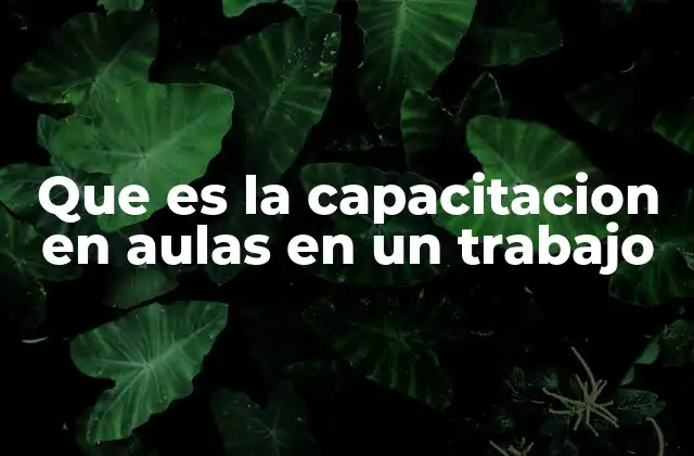Que es la Capacitacion en Aulas en un Trabajo
