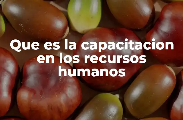 Que es la Capacitacion en los Recursos Humanos