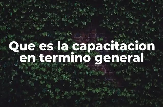 Que es la Capacitacion en Termino General