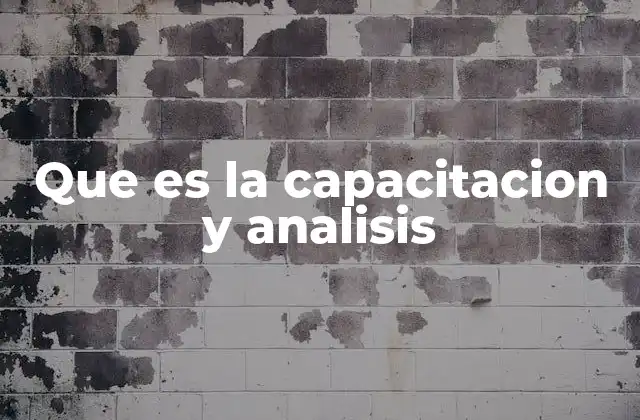 Que es la Capacitacion y Analisis