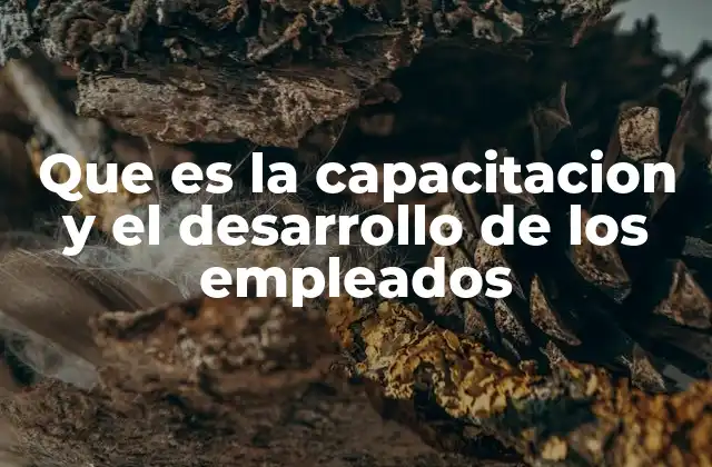 Que es la Capacitacion y el Desarrollo de los Empleados