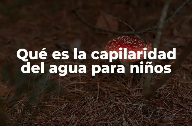 Cómo la capilaridad afecta a la vida en la naturaleza