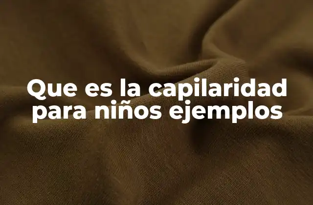 Cómo la capilaridad afecta el mundo natural