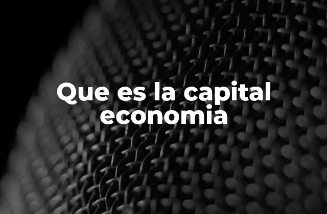Que es la Capital Economia