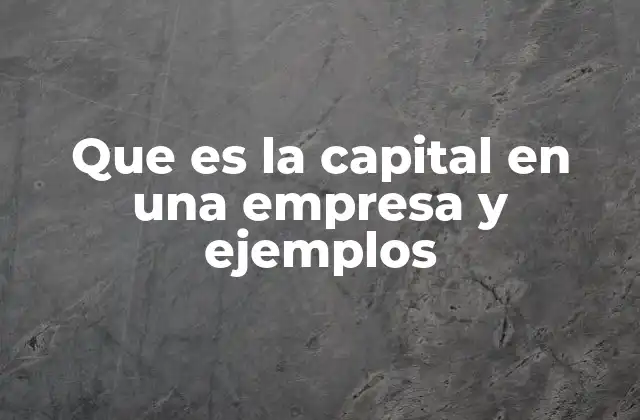 Que es la Capital en una Empresa y Ejemplos