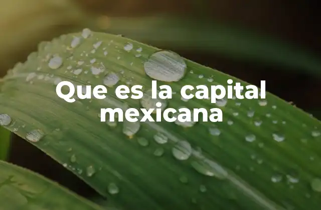 Que es la Capital Mexicana