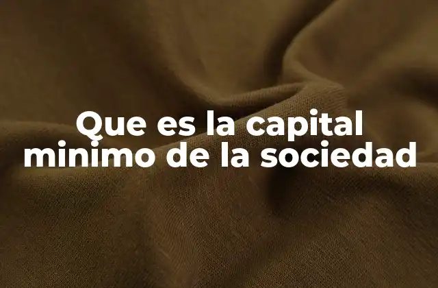 Que es la Capital Minimo de la Sociedad