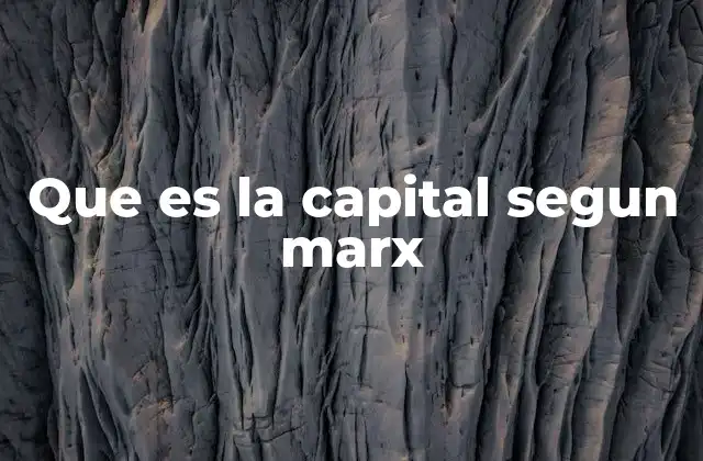 Que es la Capital Segun Marx