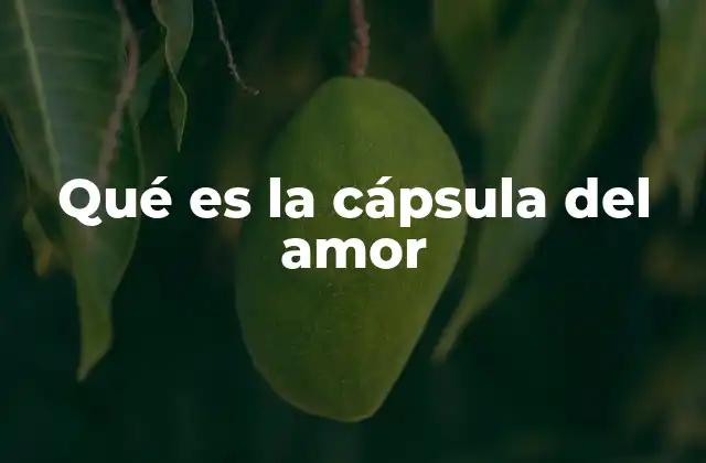 Qué es la Cápsula Del Amor
