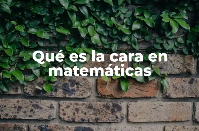 Qué es la Cara en Matemáticas 2 La importancia de las caras en la geometría elemental