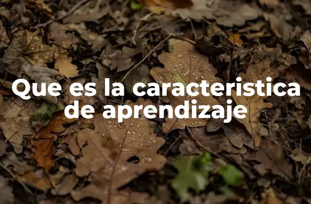 Que es la Caracteristica de Aprendizaje