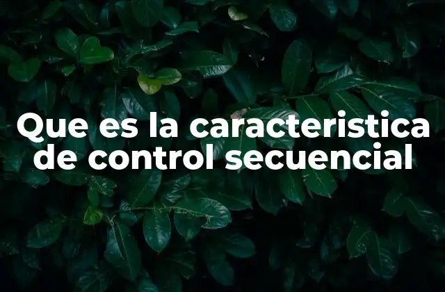 Que es la Caracteristica de Control Secuencial
