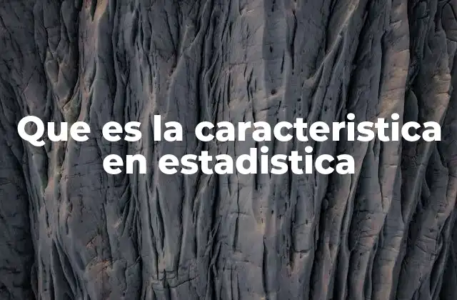 Que es la Caracteristica en Estadistica