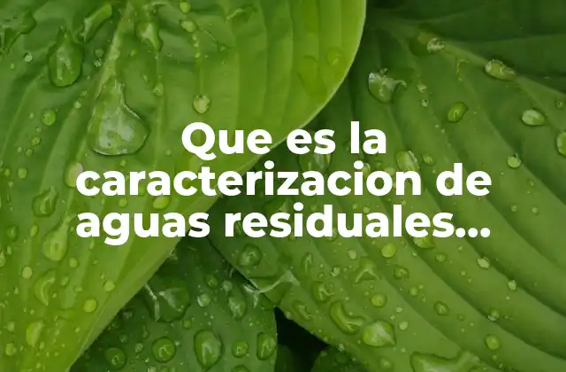 Que es la Caracterizacion de Aguas Residuales Domésticas
