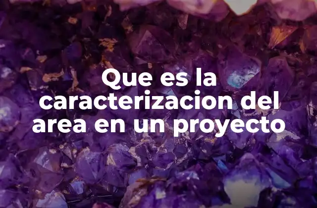 La importancia de comprender el entorno antes de actuar