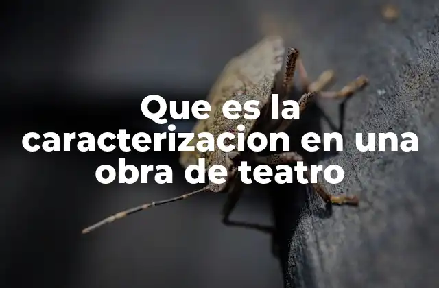 Que es la Caracterizacion en una Obra de Teatro