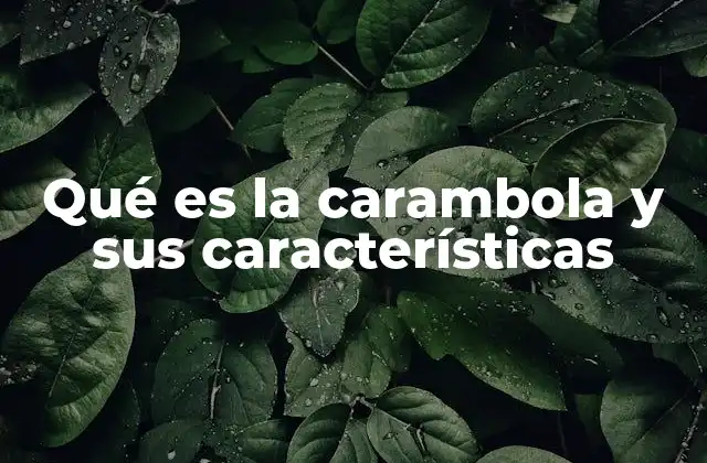 Características nutricionales y beneficios de la carambola