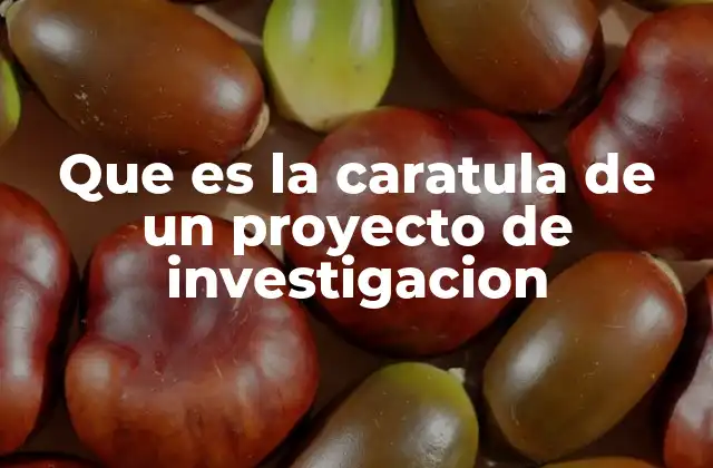Que es la Caratula de un Proyecto de Investigacion